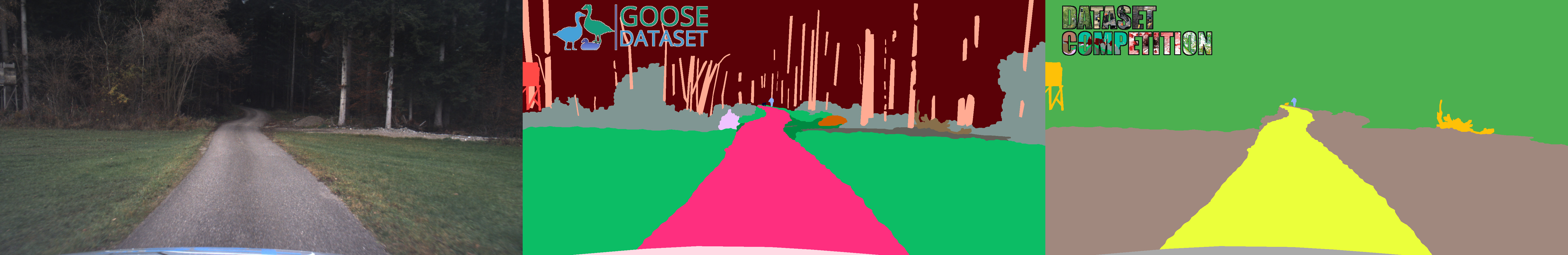 Competition Annotation