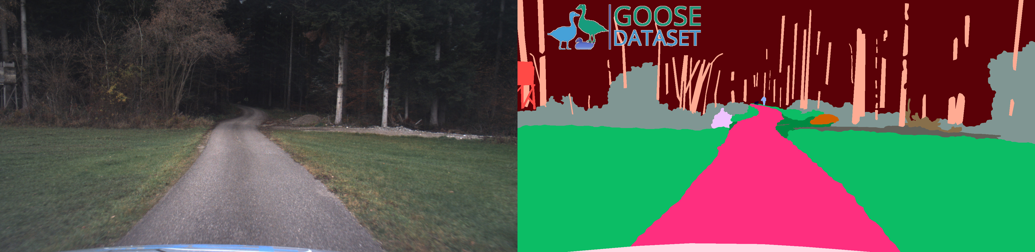 GOOSE Annotation